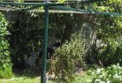 Williamsdale ACTvegetable-gardens-13.jpg; ?>